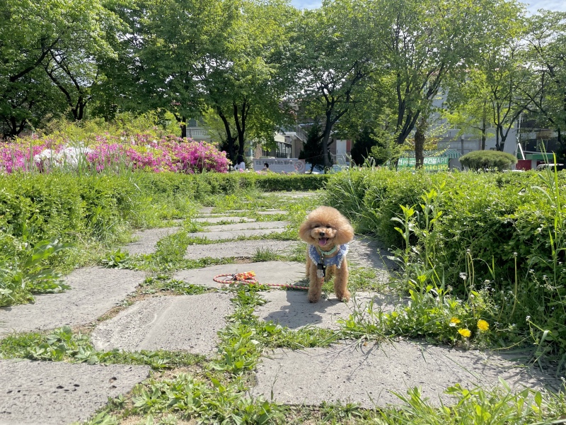 날씨가 너무 좋아요