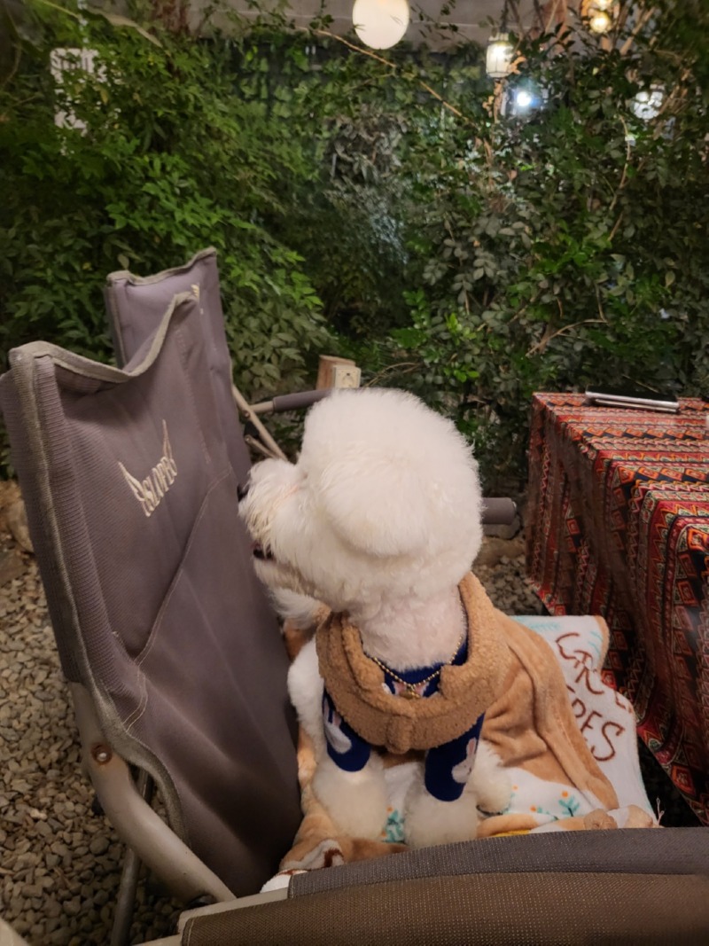 용인애견동반 캠핑 식당 몽키그릴