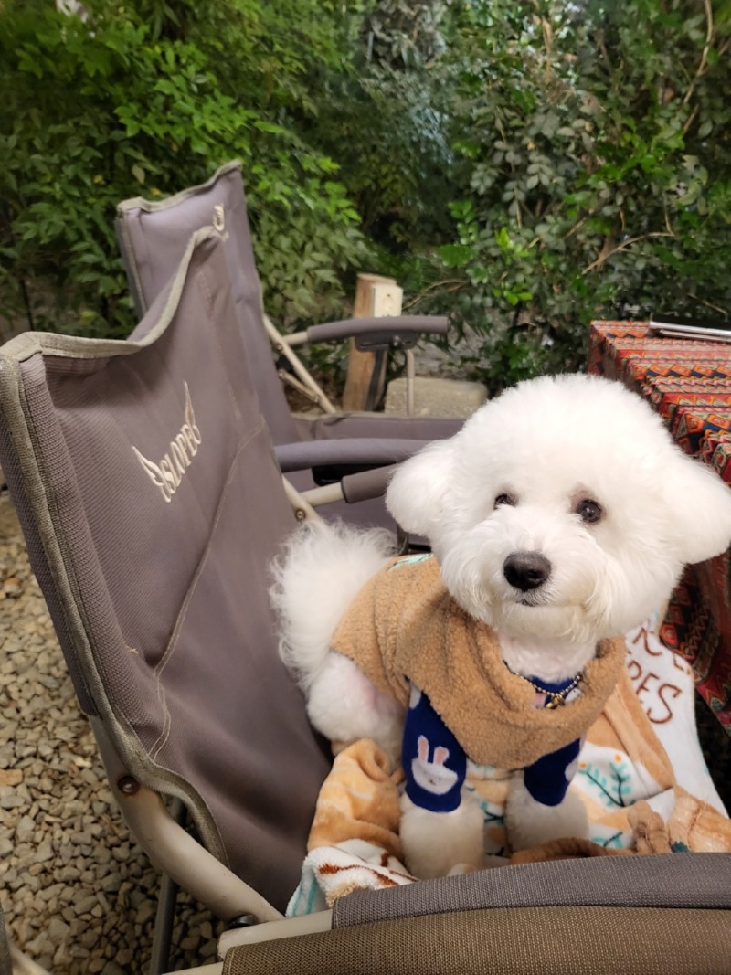 용인애견동반 캠핑 식당 몽키그릴