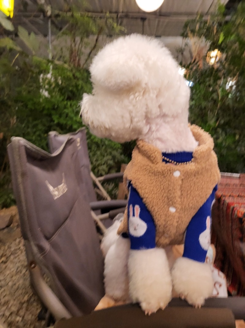 용인애견동반 캠핑 식당 몽키그릴