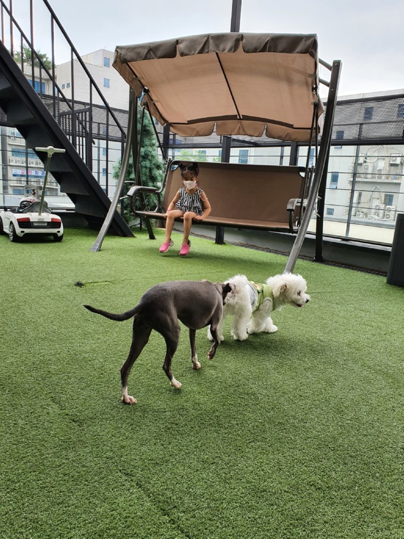 경기도 파주시 동패동 으르렁 애견카페
