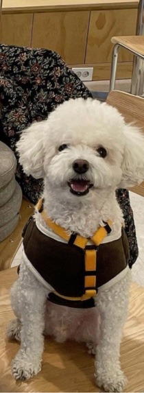 상봉동에 제주역이 나타났다!!