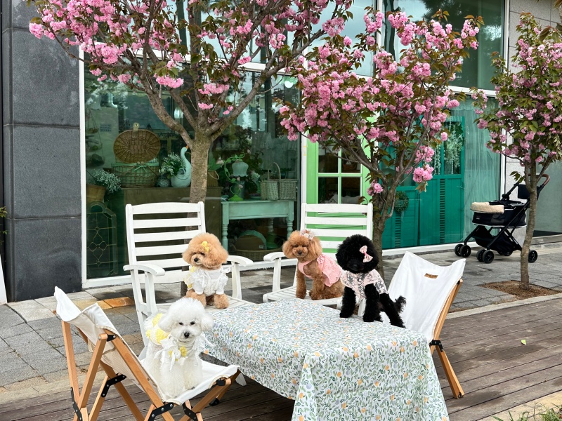 계절이 바뀌는 재미가 있는 브런치카페 소풍을 파는 가게