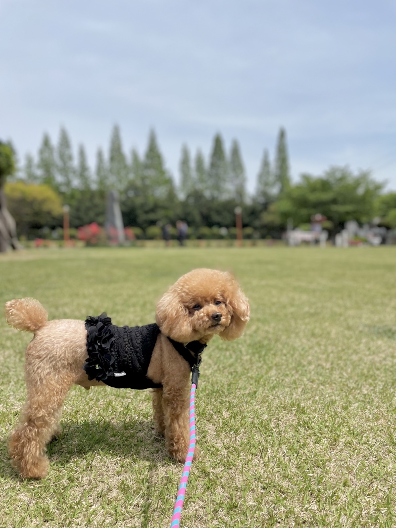 산책하기 좋은 날