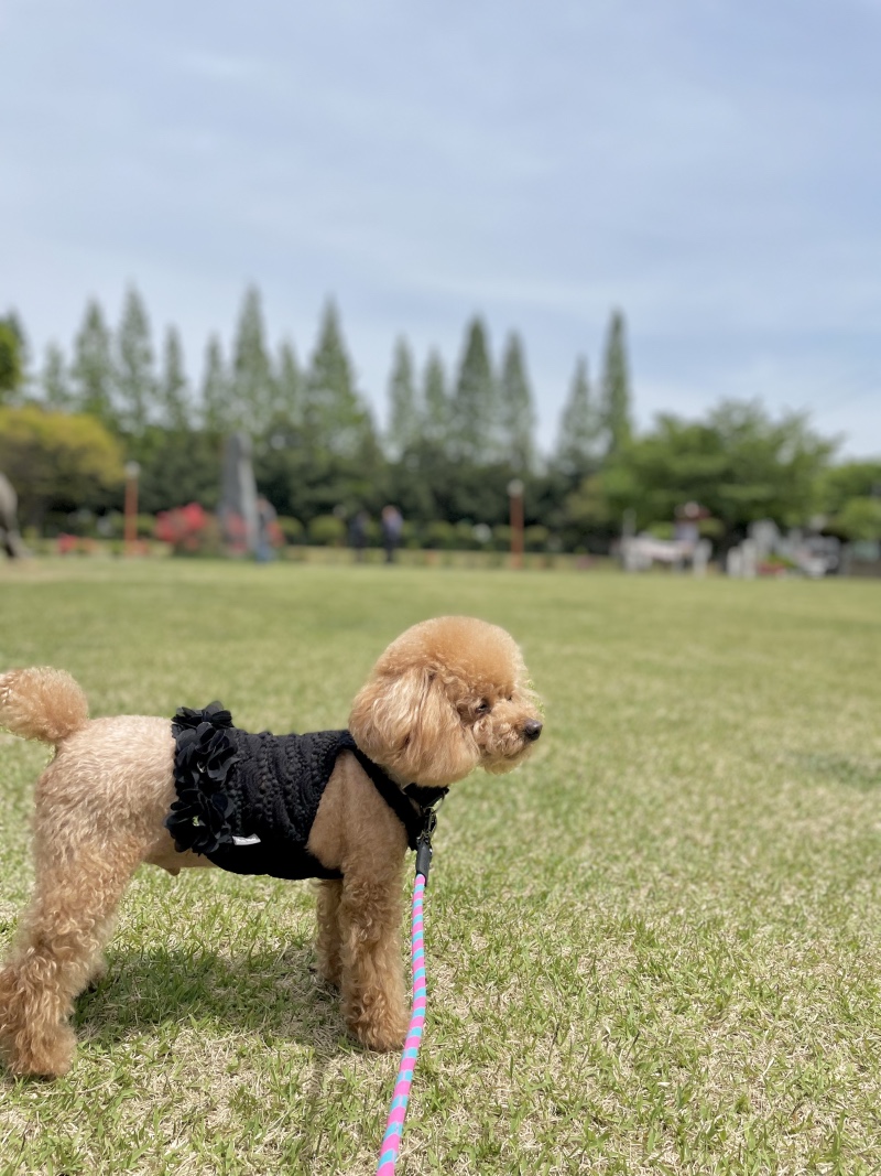 산책하기 좋은 날