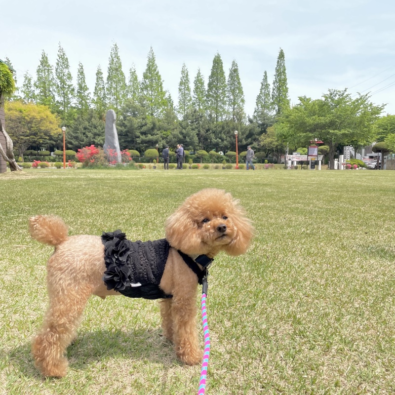 산책하기 좋은 날