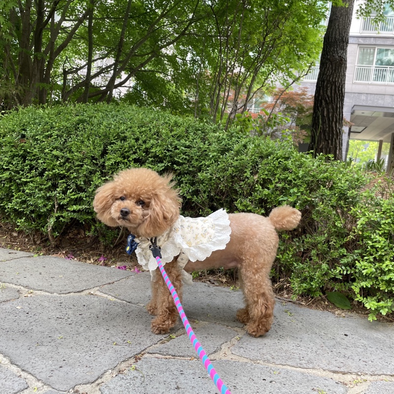 오산완