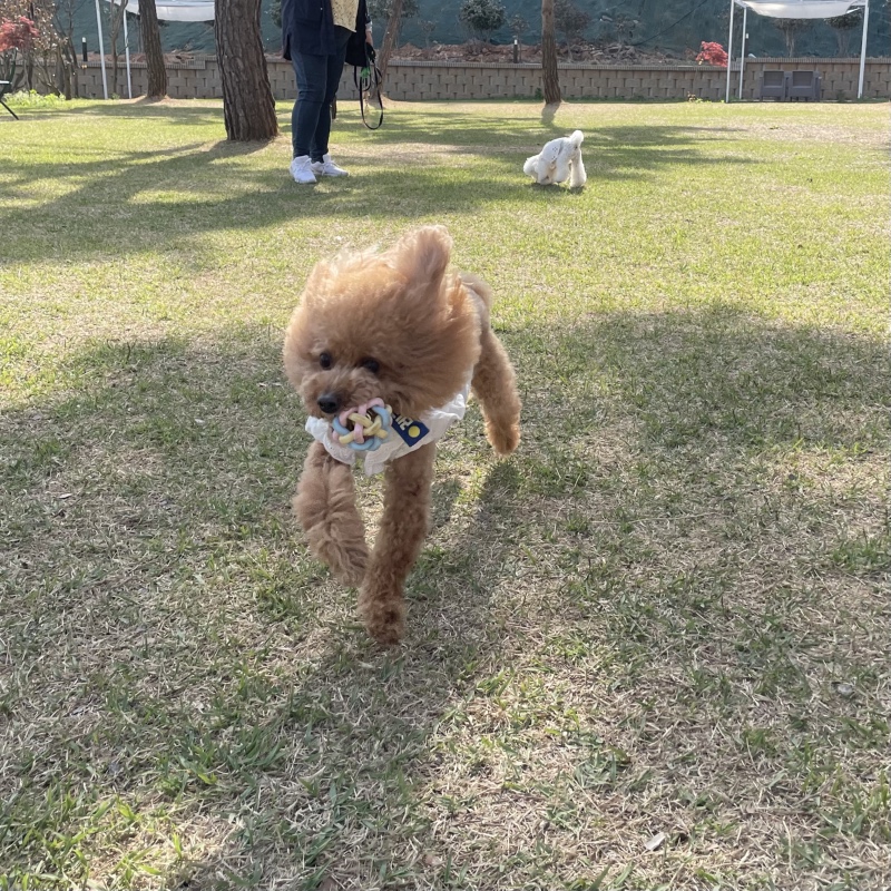 뷰, 맛, 친절, 감성, 놀이 다 갖춘 제부도 오솔길