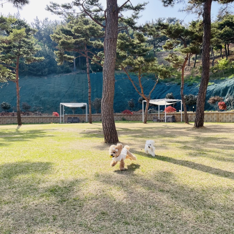 뷰, 맛, 친절, 감성, 놀이 다 갖춘 제부도 오솔길