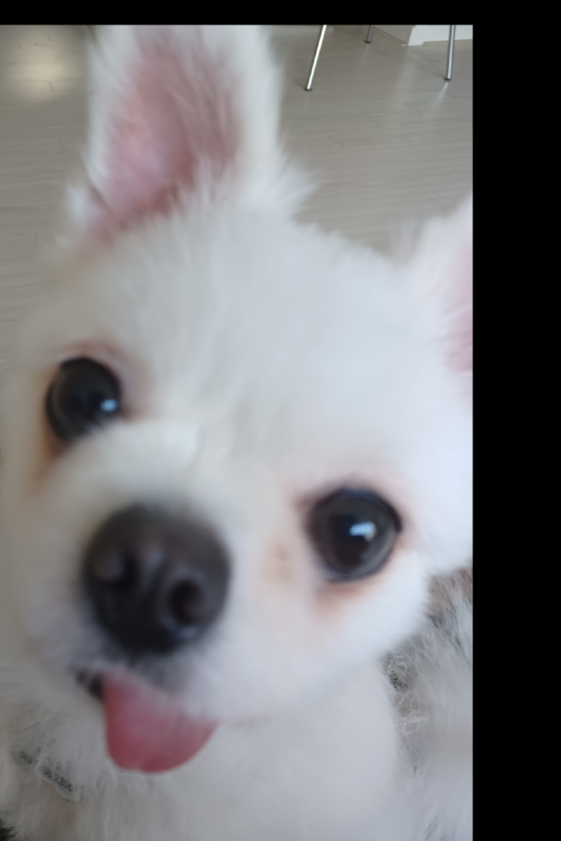 우리예삐~