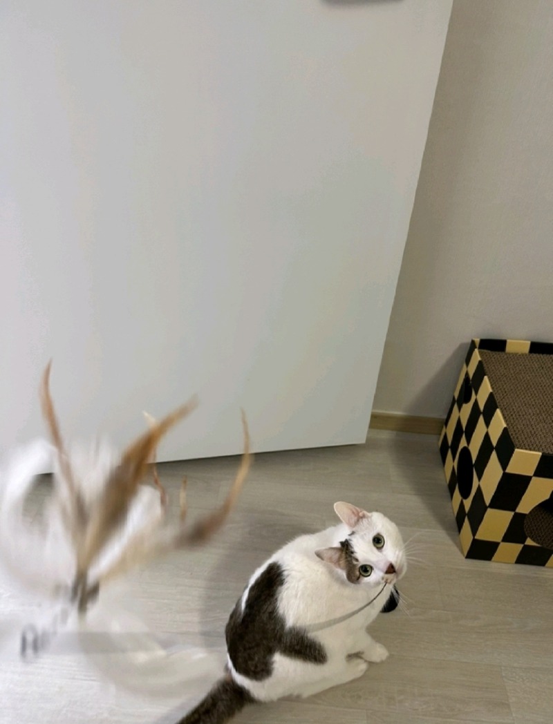 Screenshot_20230501_205829.jpg