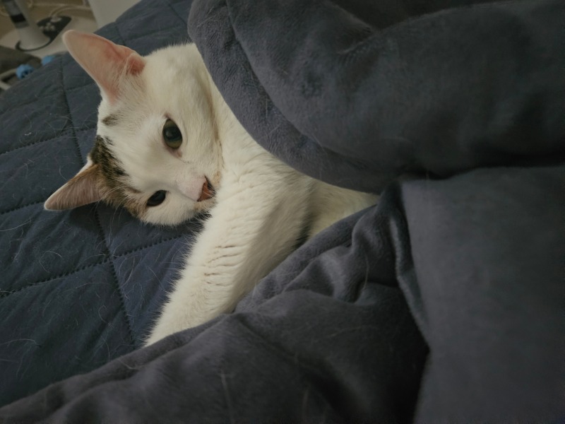 우리 아치 ^0^