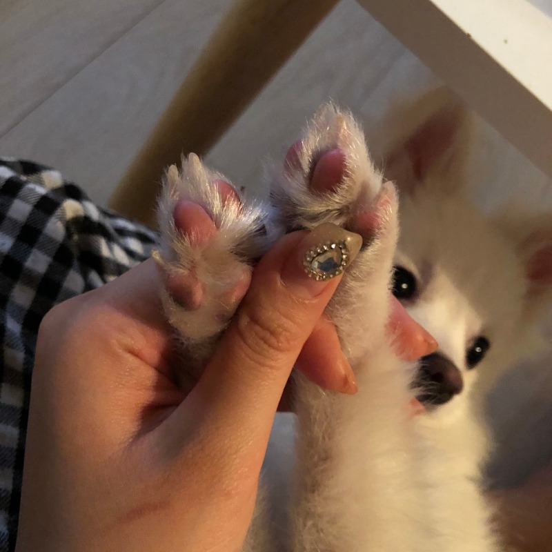 꼬순내 좋아하시는 분 ㅎㅎ