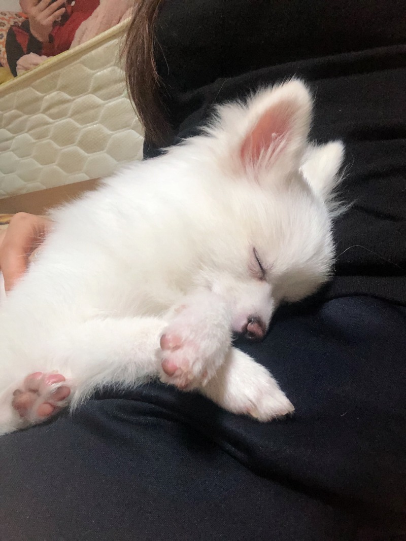 꼬순내 좋아하시는 분 ㅎㅎ