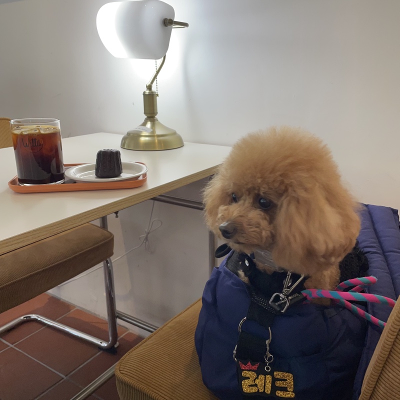 디저트가 맛있고 사장님이 친절하고 상주견이 귀여운 위틸리