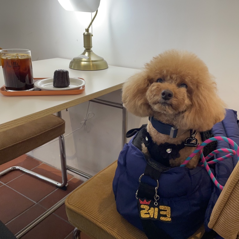 디저트가 맛있고 사장님이 친절하고 상주견이 귀여운 위틸리