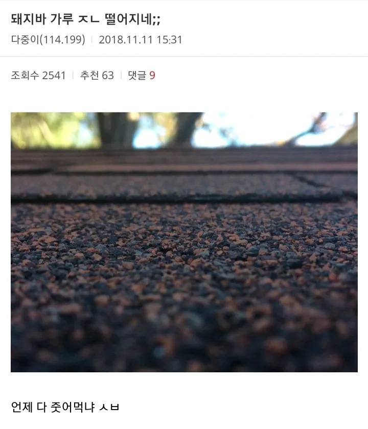 허언 모음