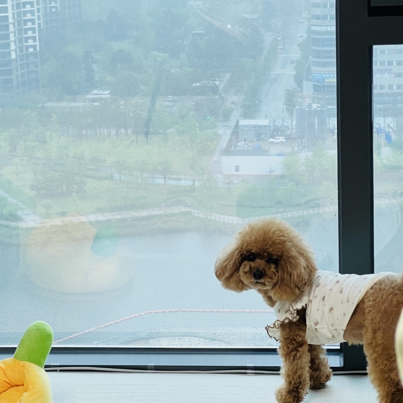 친구집에 놀러갔어요