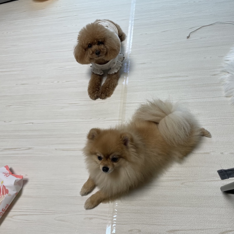 친구집에 놀러갔어요