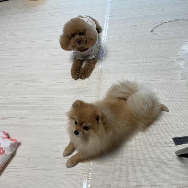 친구집에 놀러갔어요