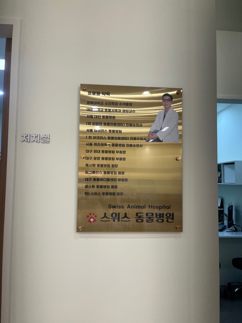봄철 알레르기 주의