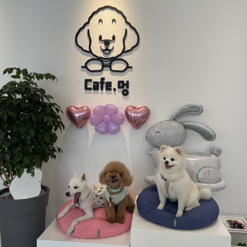 산책하고 들르기 좋은 카페,멍