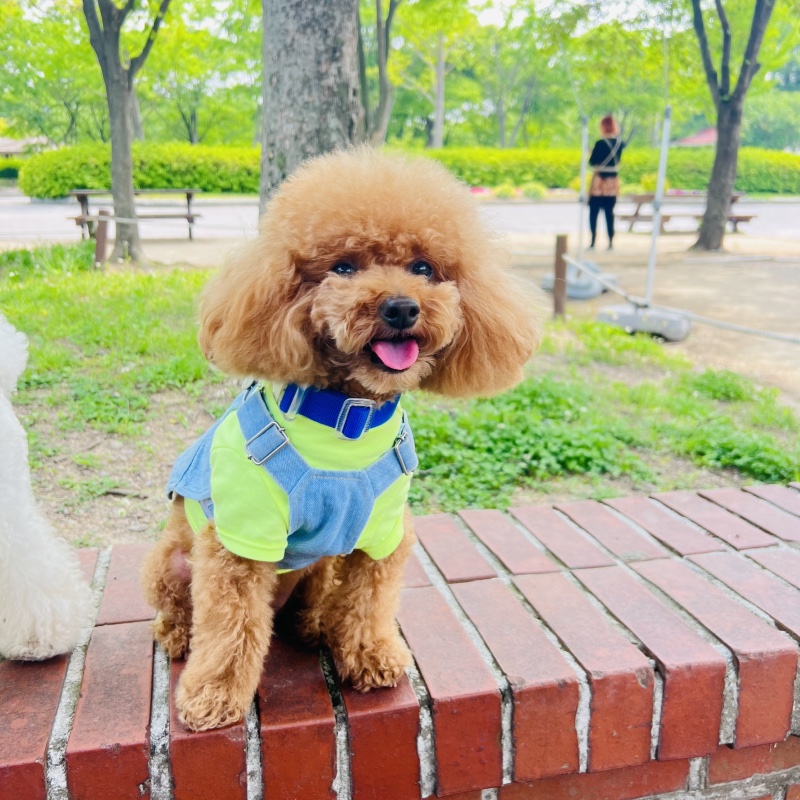 엄마랑 커플룩 입고 산책