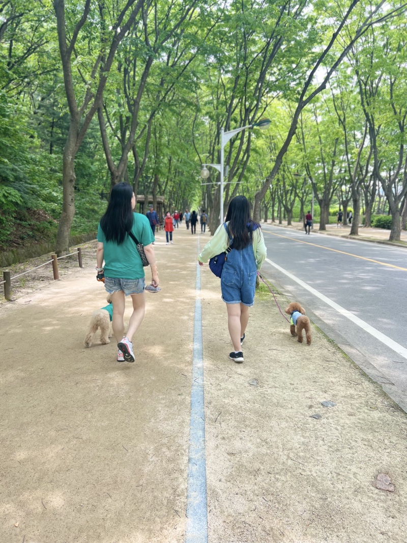 엄마랑 커플룩 입고 산책
