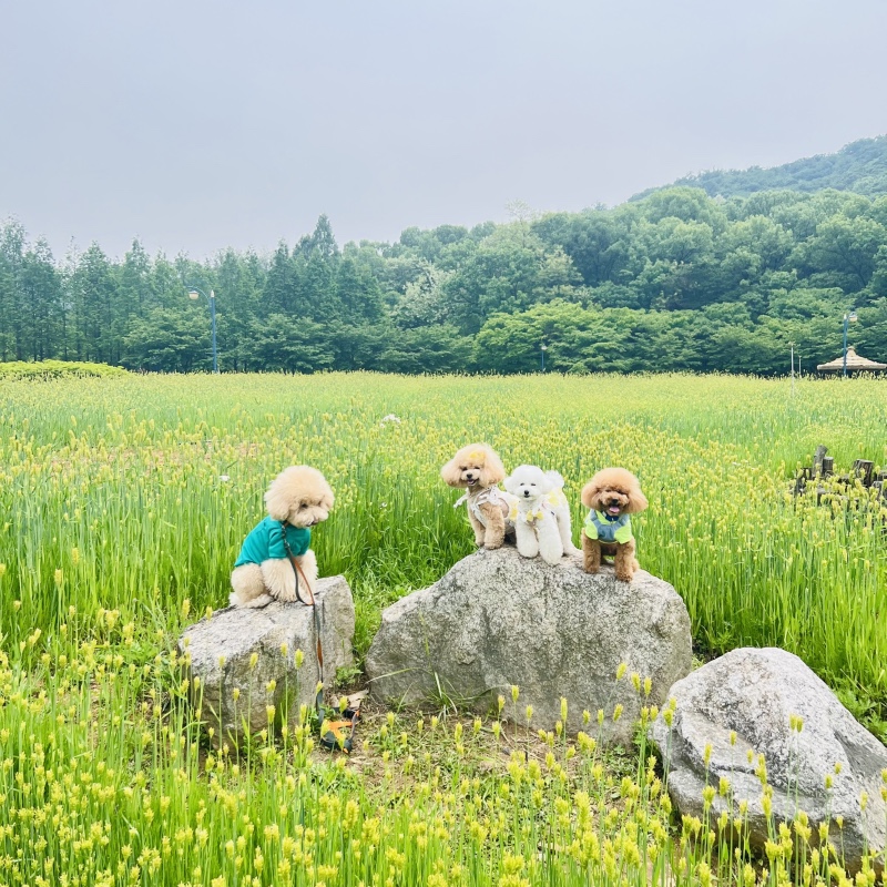 산책하기 좋은 인천대공원