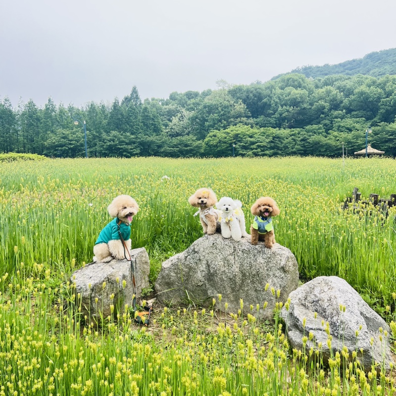 산책하기 좋은 인천대공원