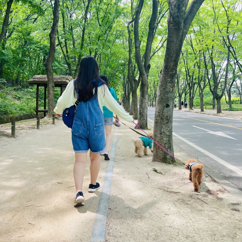 산책하기 좋은 인천대공원