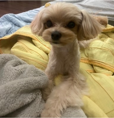 저희집 깜찍이 입니당~