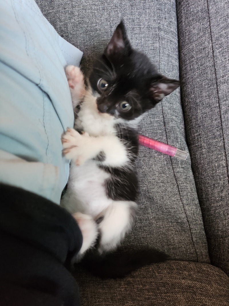 ㅌ