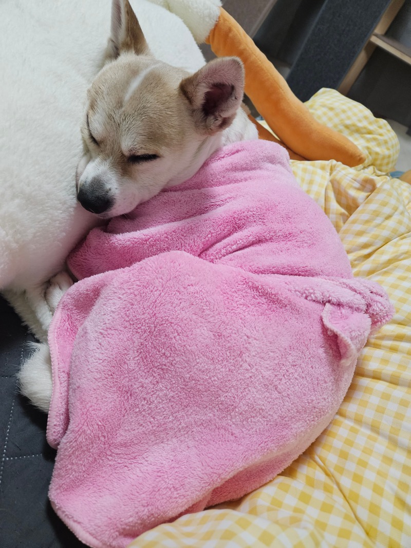 우리 아리~~ 노곤노곤