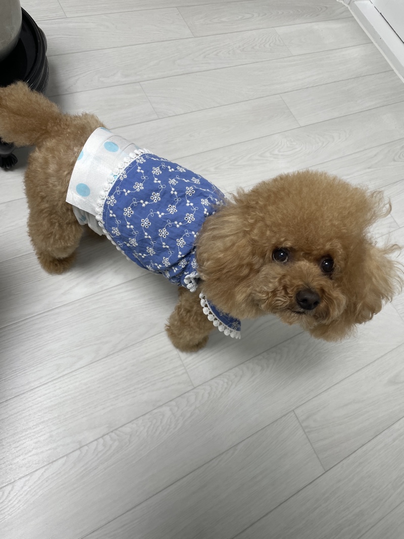 할먼네 왔어요