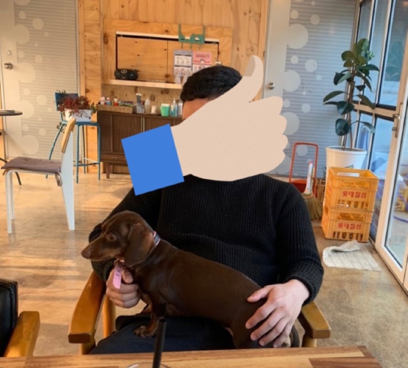 애견동반 국수집 soso