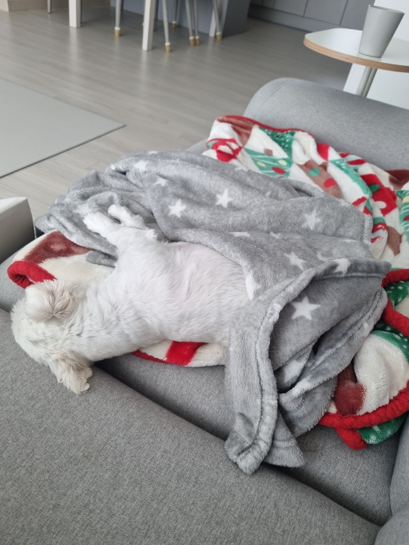 귀여운 뚱땡이~