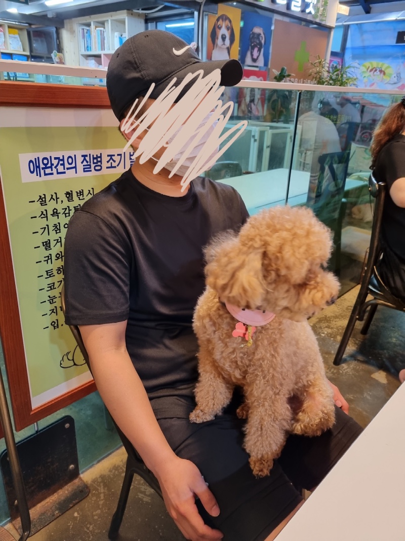 실내가 엄청 넓은 대형 카페 