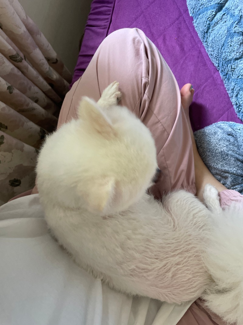 셀프미용 했어요 ㅎㅎ