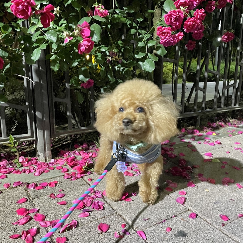 오랜만이에요