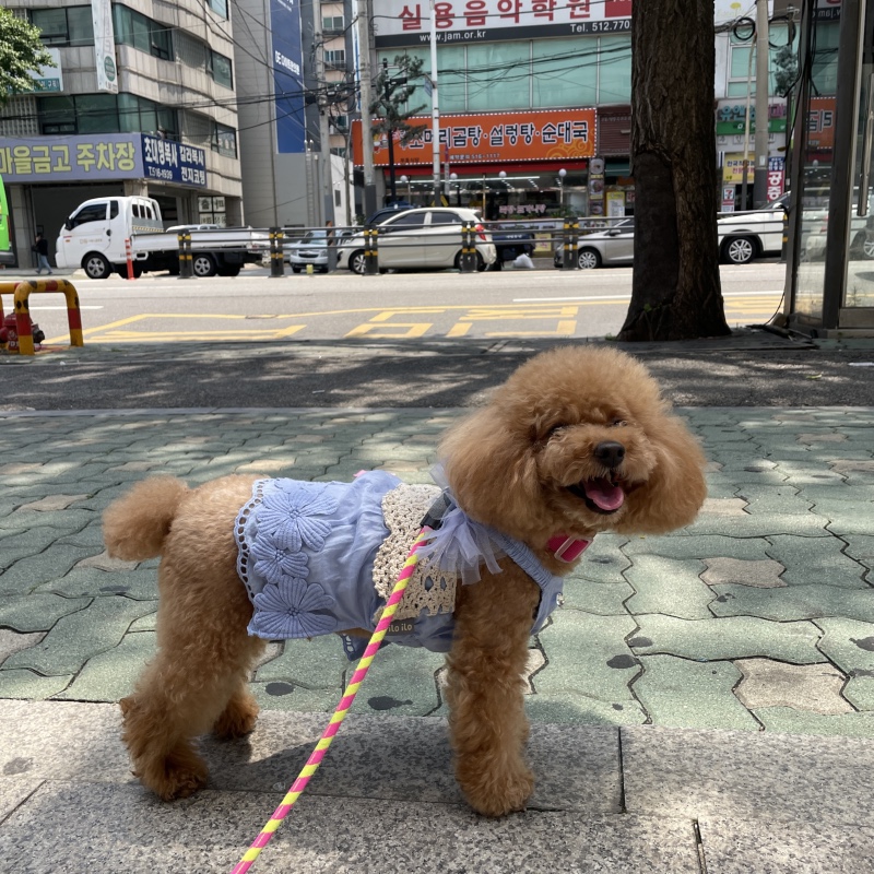 오랜만이에요
