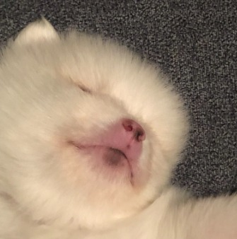 애기 때는 진짜 금방 가는 것 같아요 ㅎㅎ