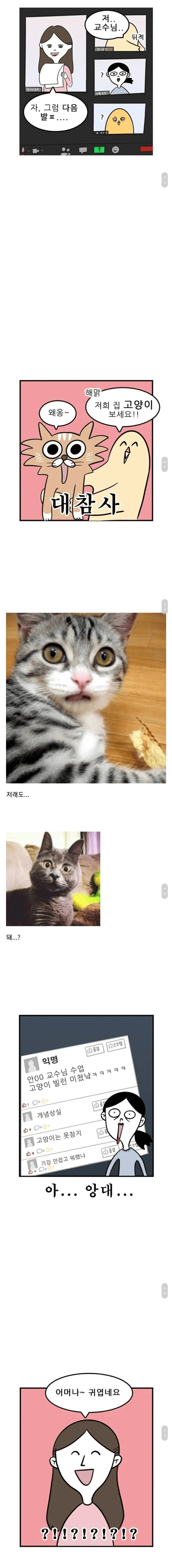대학교 비대면 강의 후기
