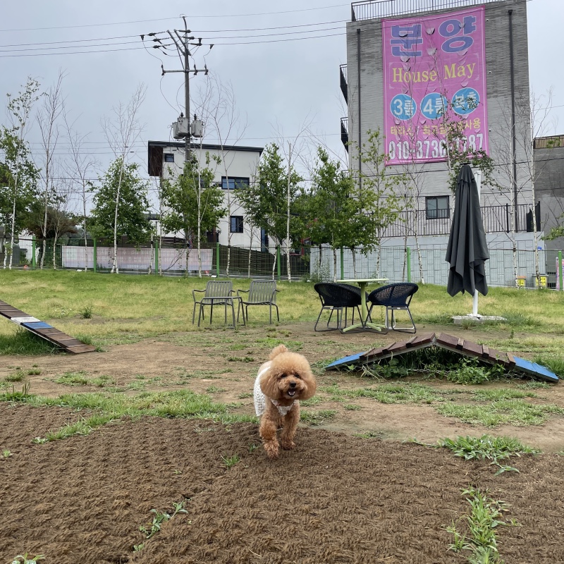 장마가 걱정되요