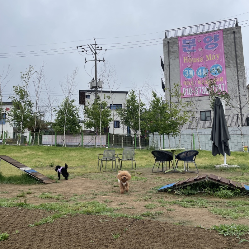장마가 걱정되요