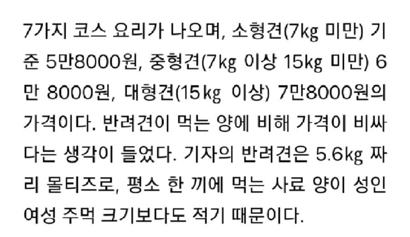 청담동에 오픈한 개마카세