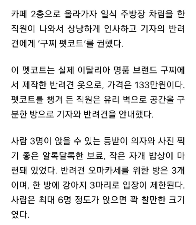 청담동에 오픈한 개마카세