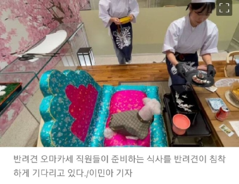 청담동에 오픈한 개마카세