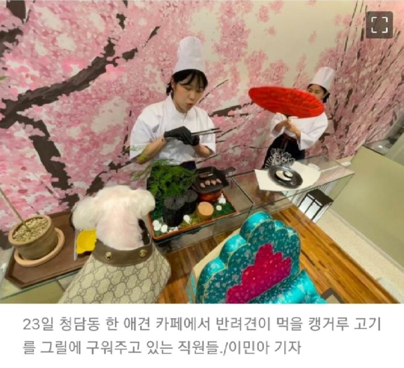 청담동에 오픈한 개마카세