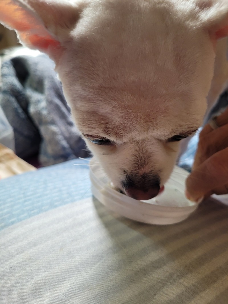 얼굴까지 다 밀려버렸네요ㅠㅎㅎ